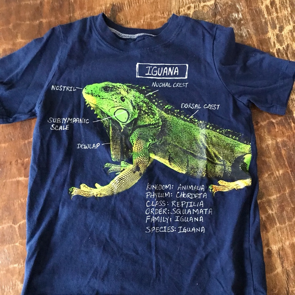 Boy’s t shirt